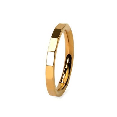 Elegant faceted ring in titanium