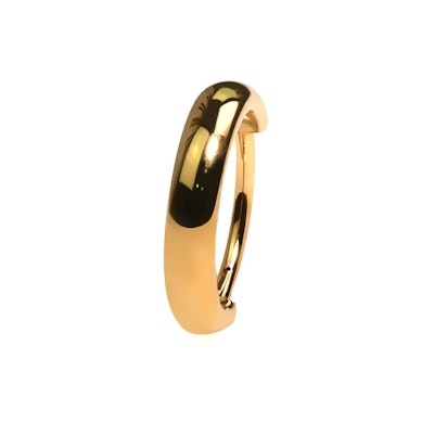 Titanium hinged ring huggie