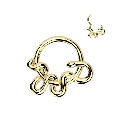 Forward facing hinged ring with snake