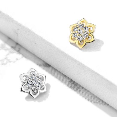 Dermal gems discount