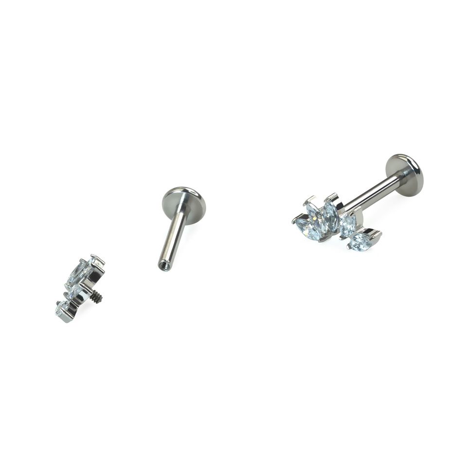 Κυρτό labret από τιτάνιο με 5 πετράδια