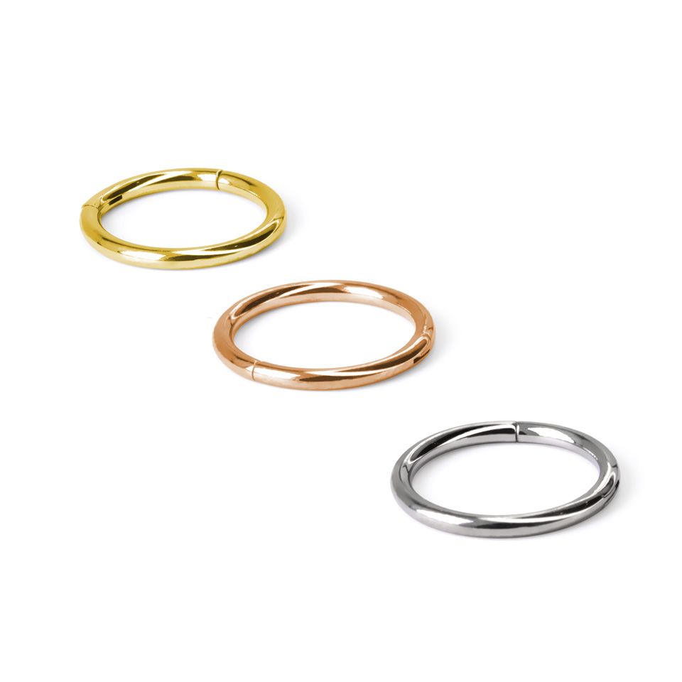 Hinged segment ring made of titanium