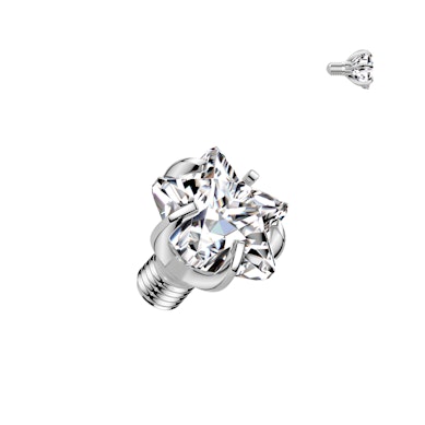 Titanium star gem dermal top