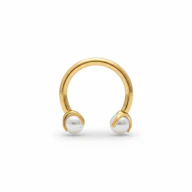 Titanium horseshoe with pearls