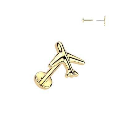 Titanium aeroplane labret
