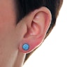 Plug in turquoise stone Piercing