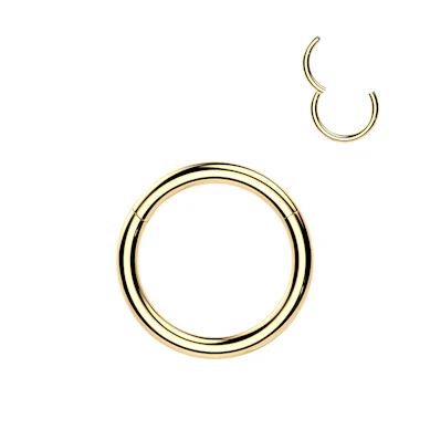 24k gold plated titanium hinged ring