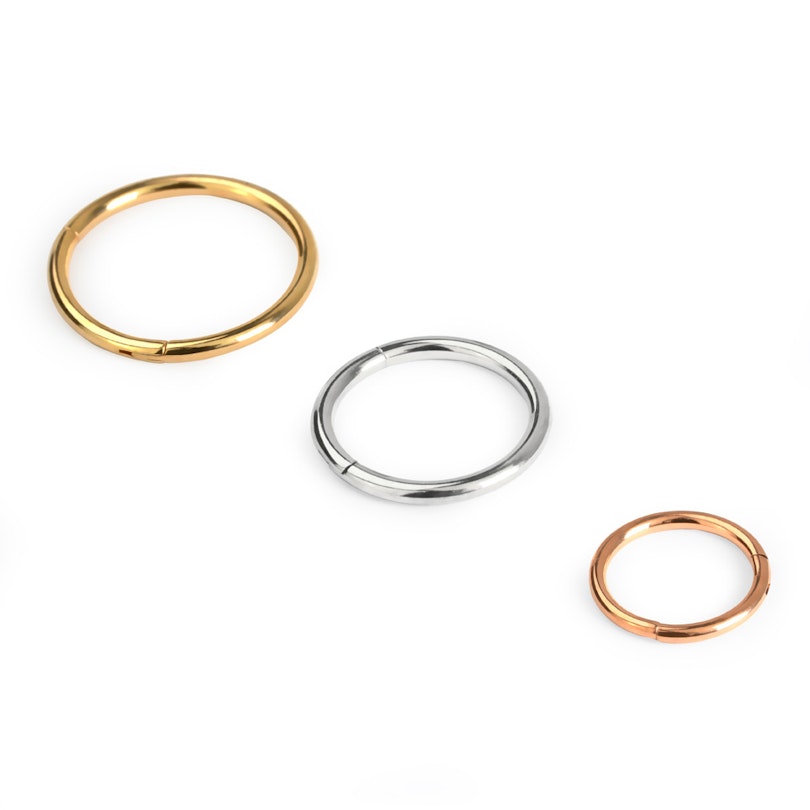 Hinged segment ring in your choice of color Piercing Jewelry