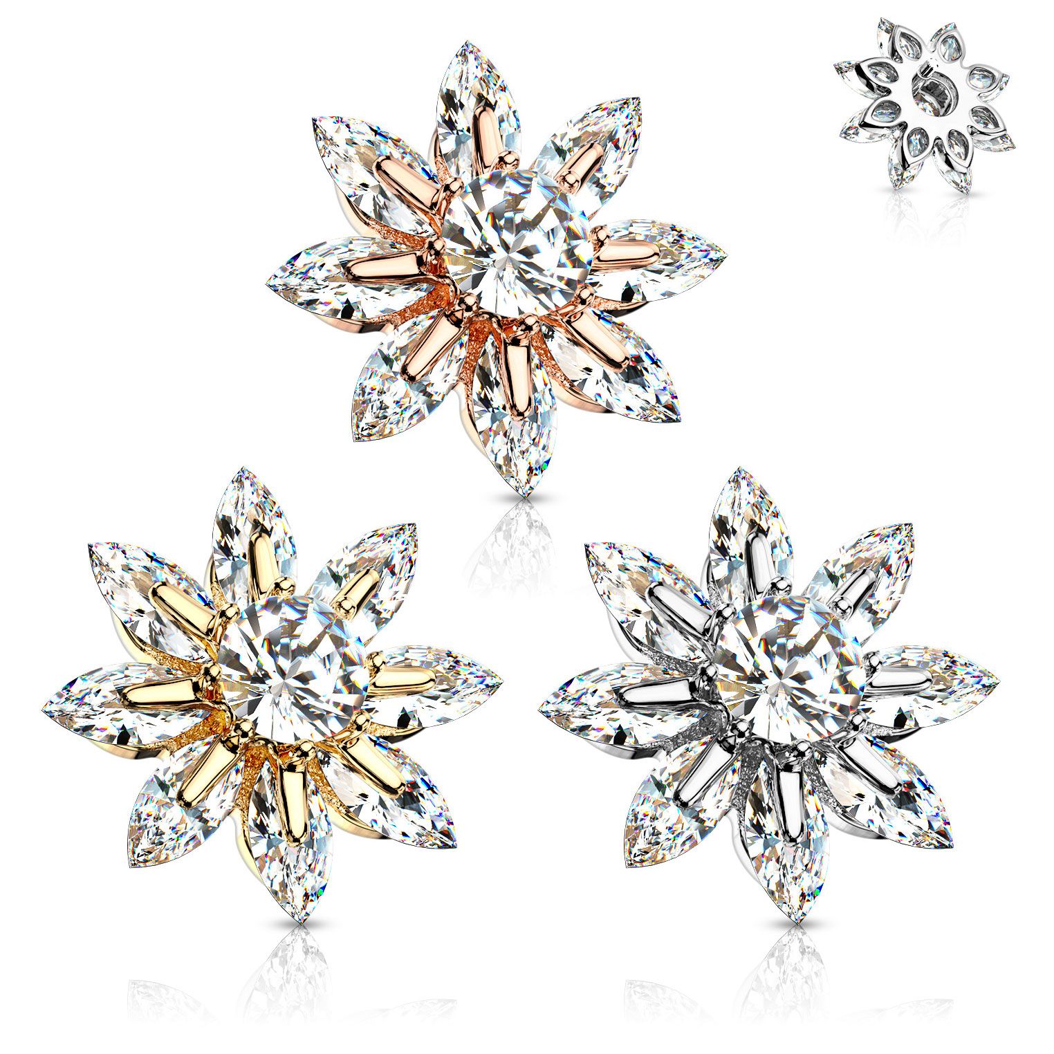 Large on sale dermal tops