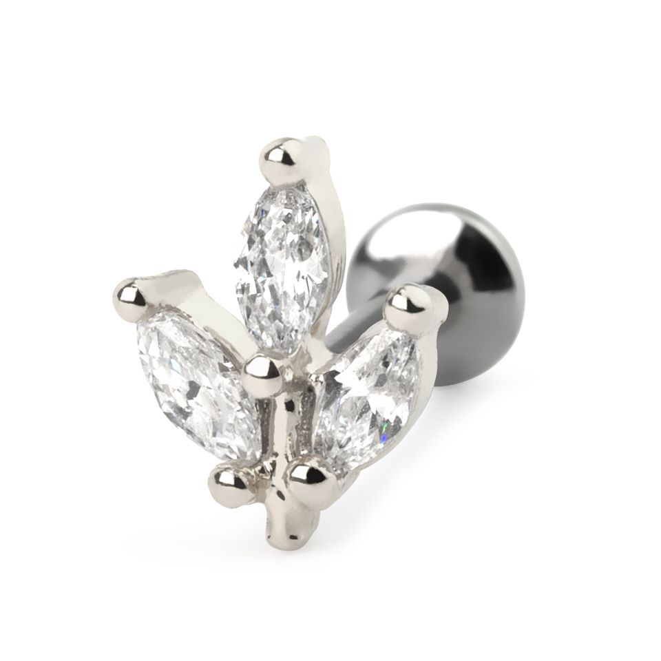 Marquise labret shop