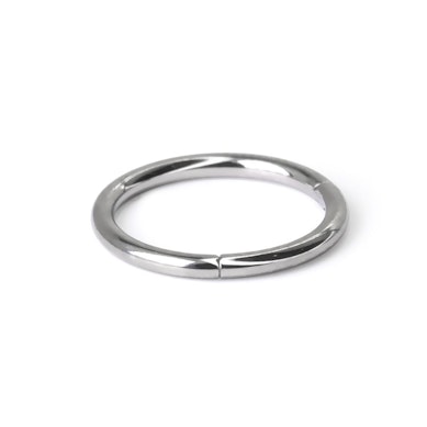 Hinged segment ring made of titanium