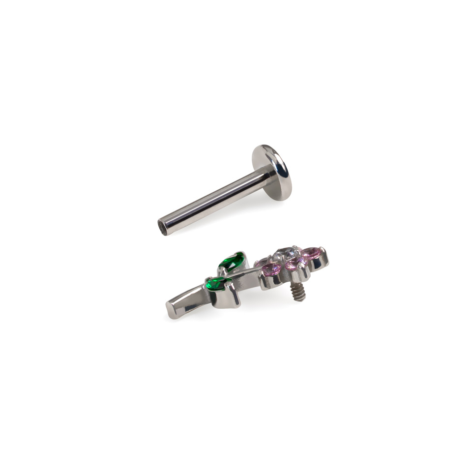 Labreta s roztomilým kvietkom a plochou zadnou časťou