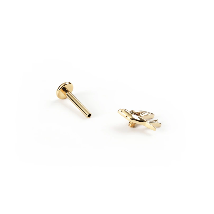 Swallow labret in titanium