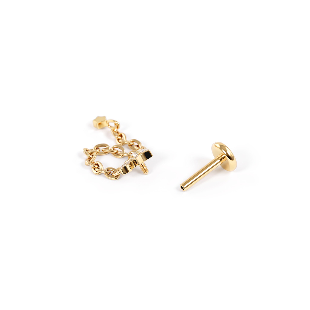 Titanium stars labret with charm