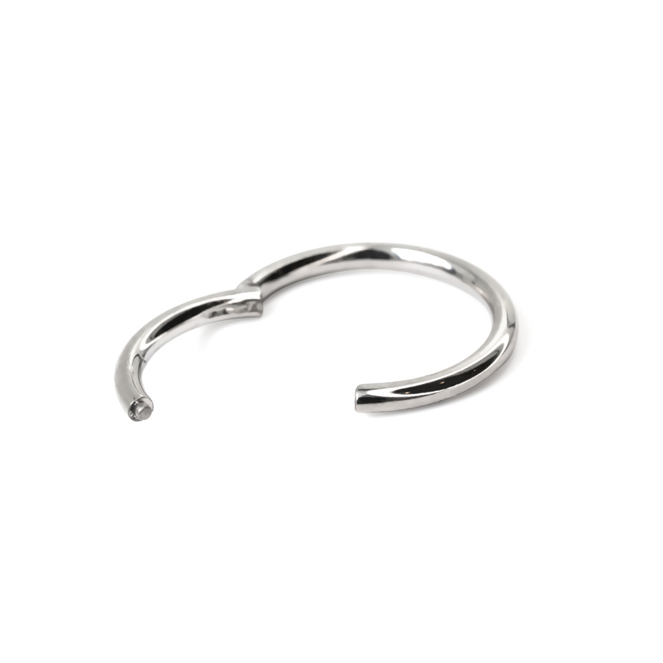 Hinged segment ring made of titanium