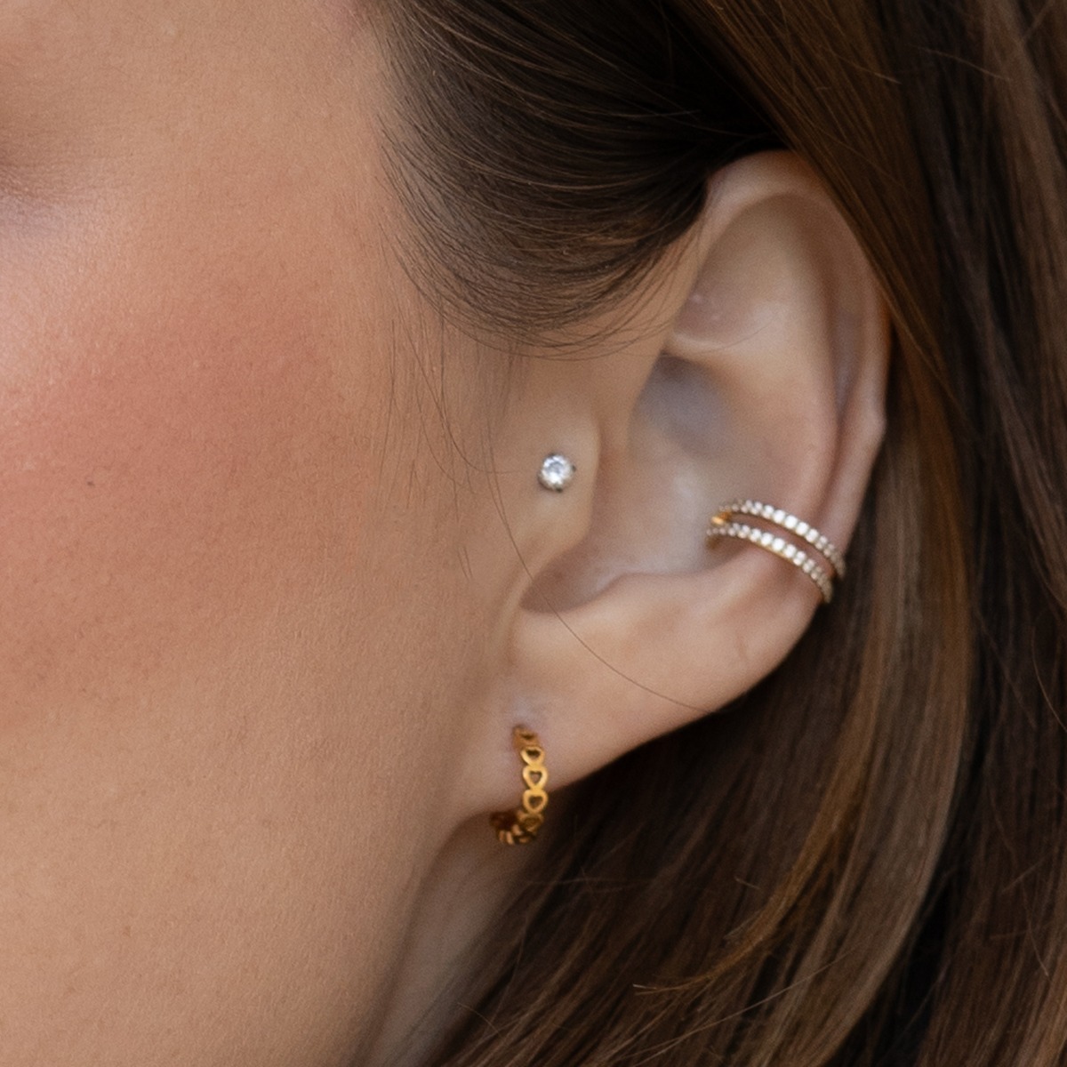 Conch needid
